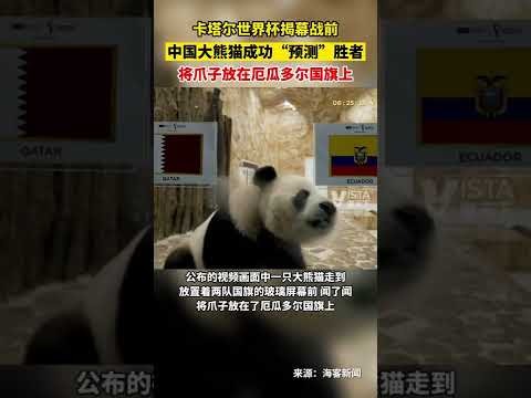 王星昊获得,届同里杯围,棋天元赛挑,万博,ManBetX,万博官网,万博体育官网,万博体育下载,万博APP