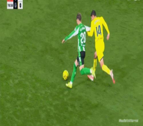 邁尼昂預言,多納魯馬將,迎狂熱歡迎,万博,ManBetX,万博官网,万博体育官网,万博体育下载,万博APP